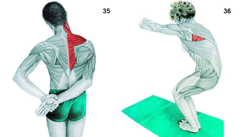 FB_IMG_1458365594786